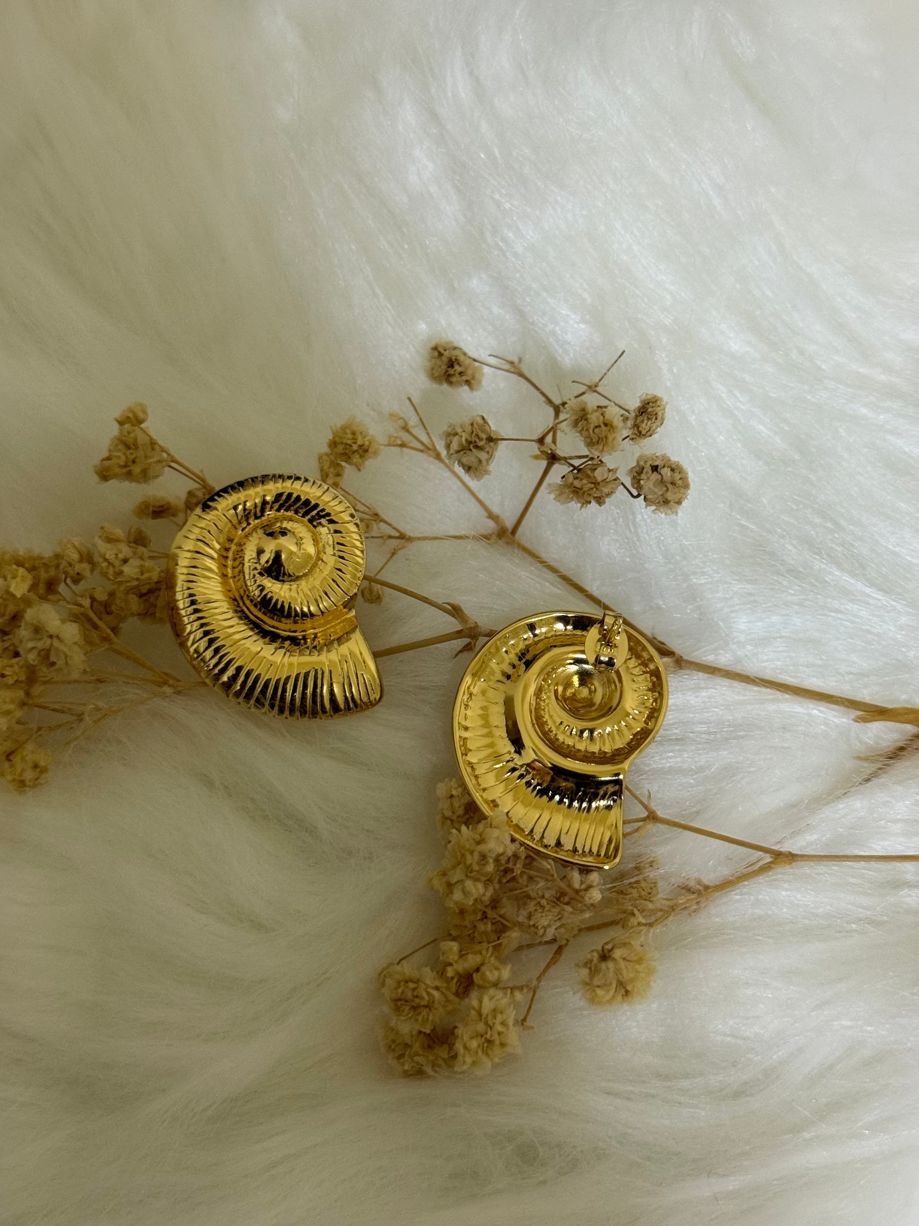 Women’s earrings