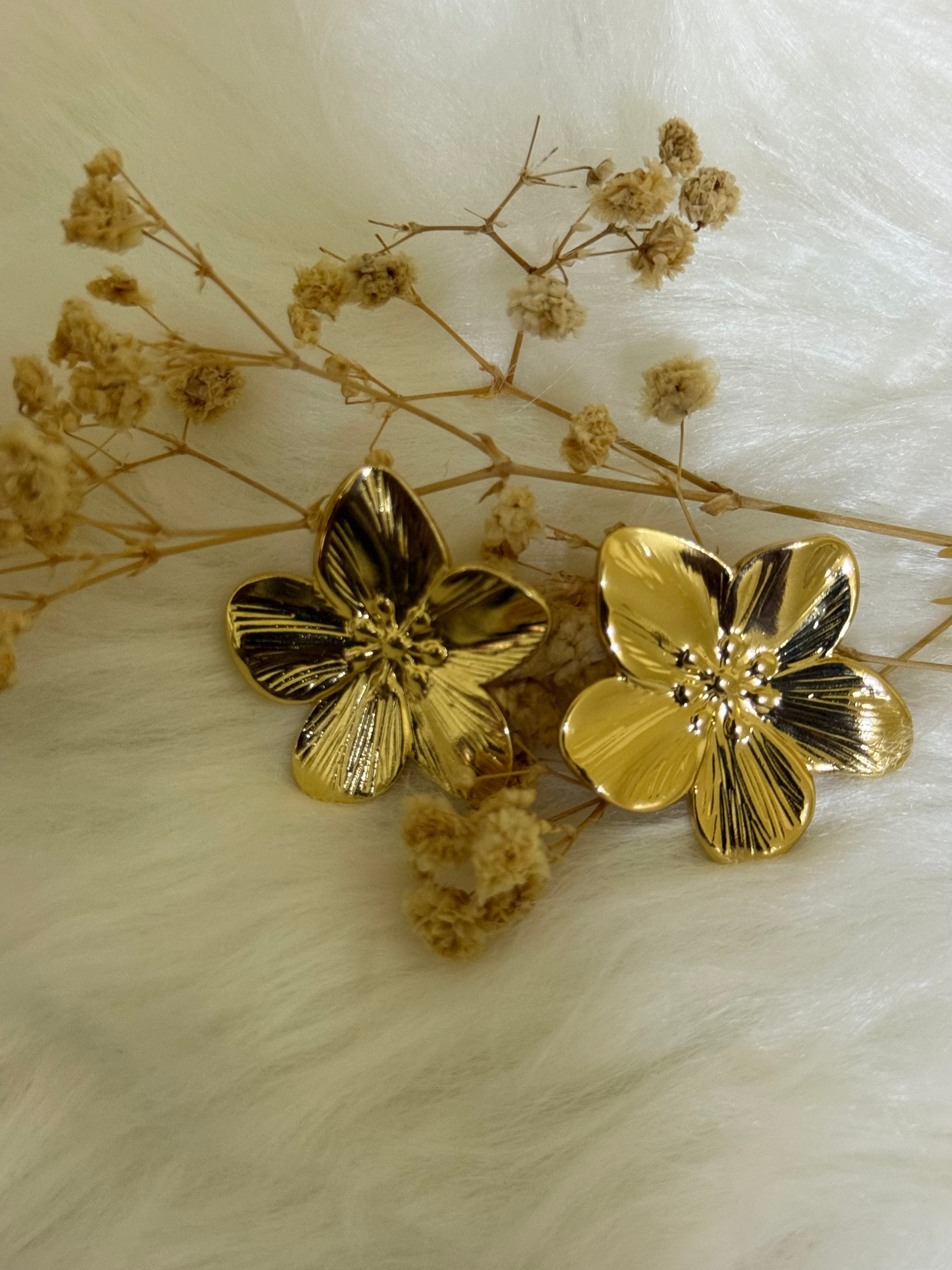Women’s earnings