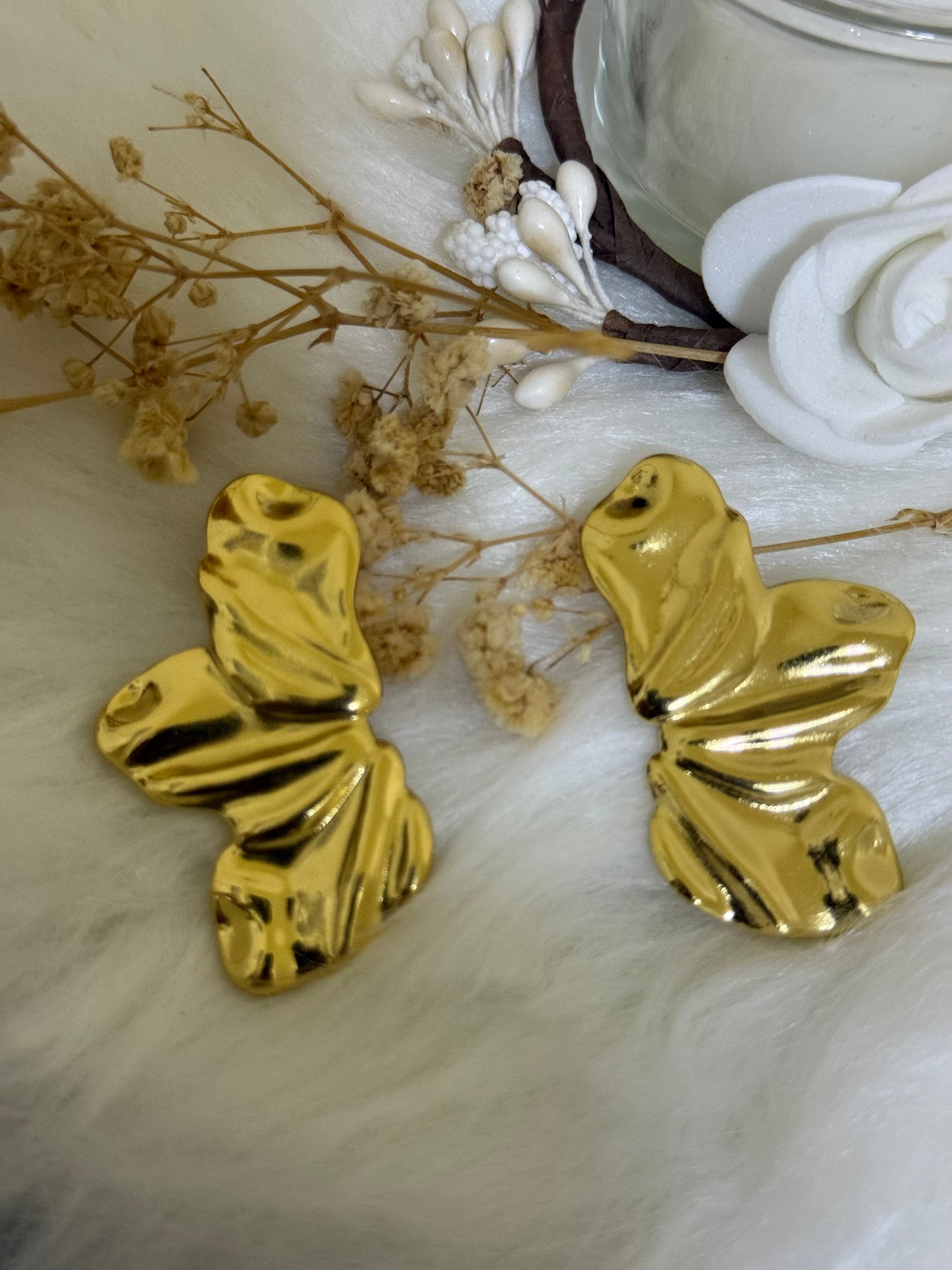 Women’s earnings