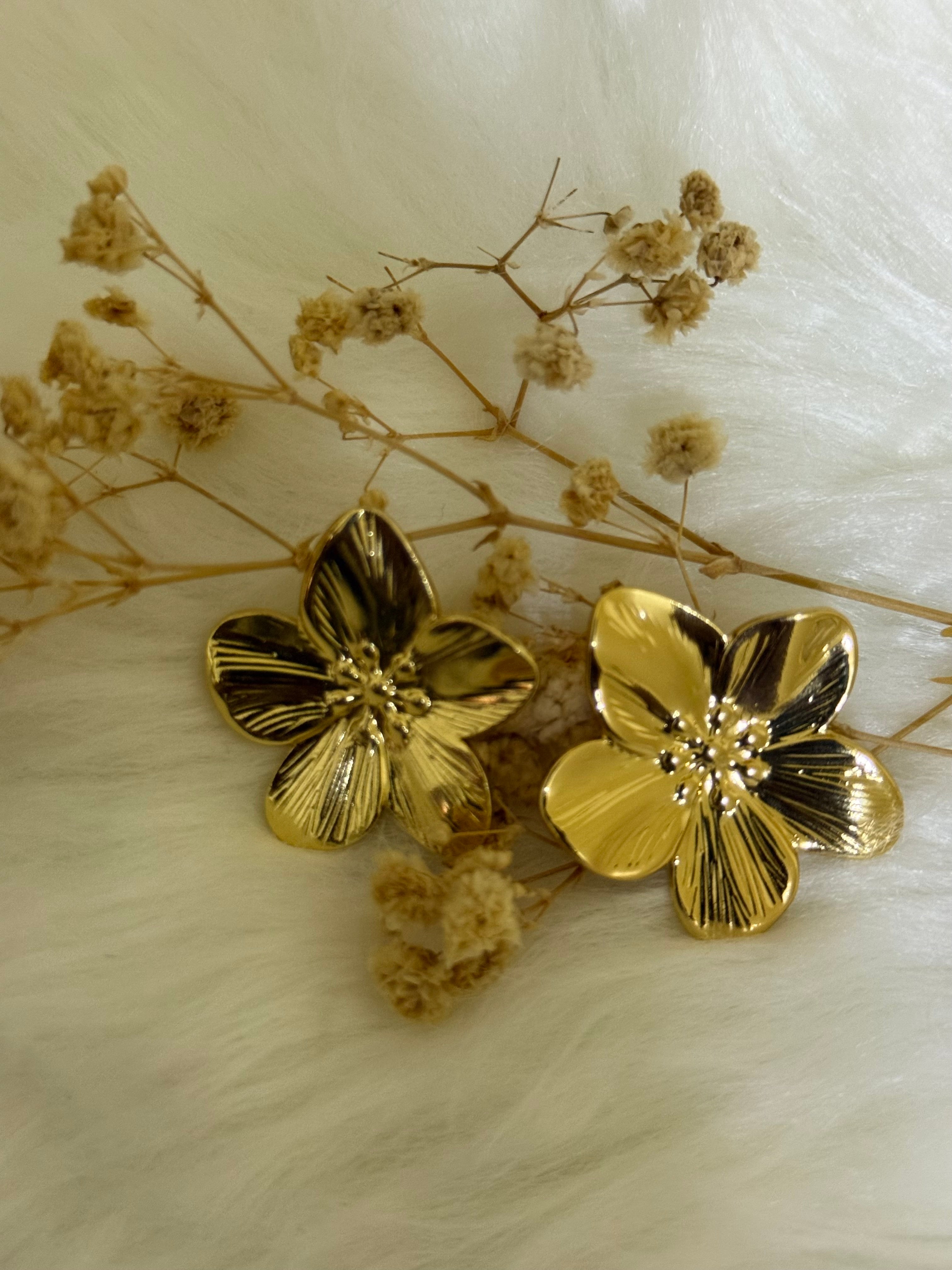 Women’s earnings