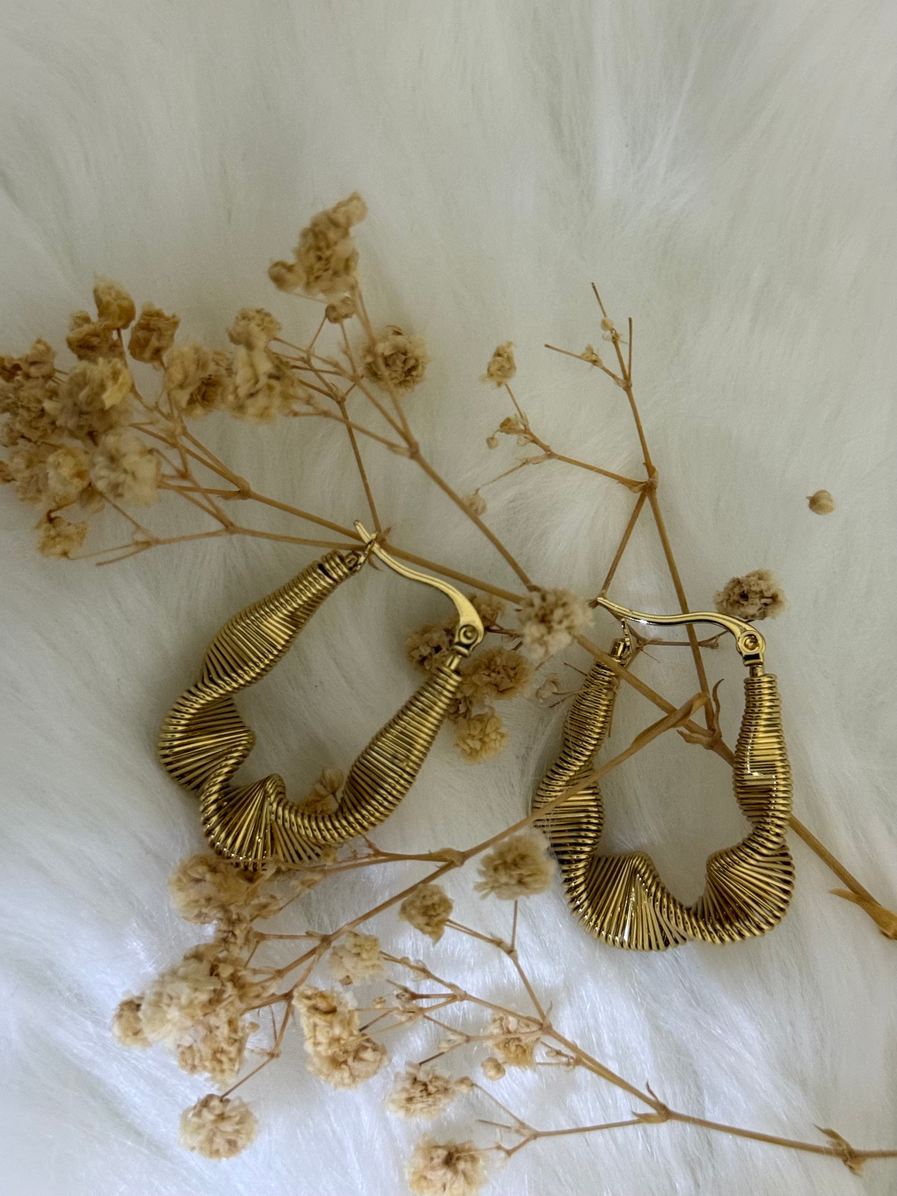 Women’s earnings