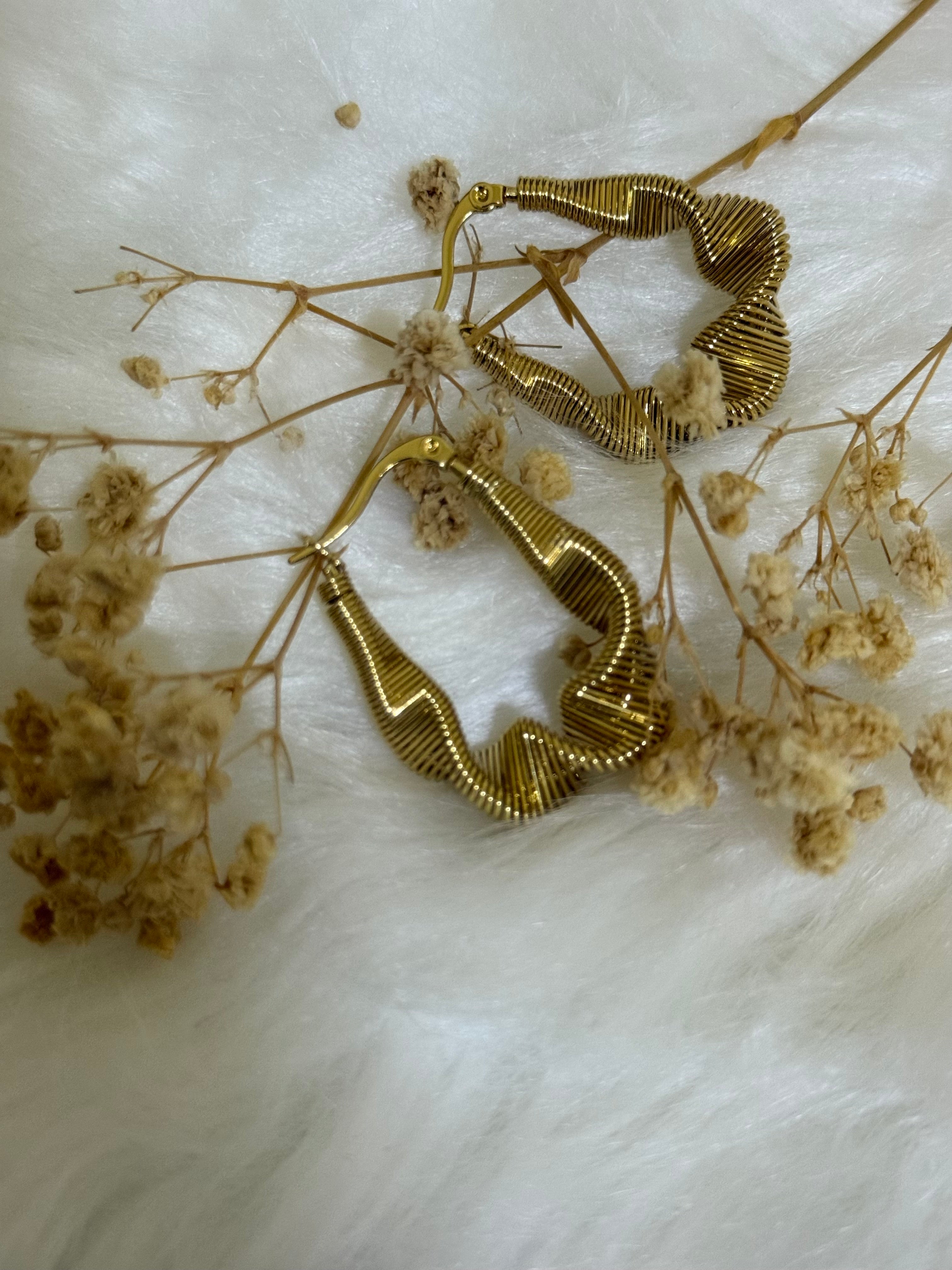 Women’s earnings