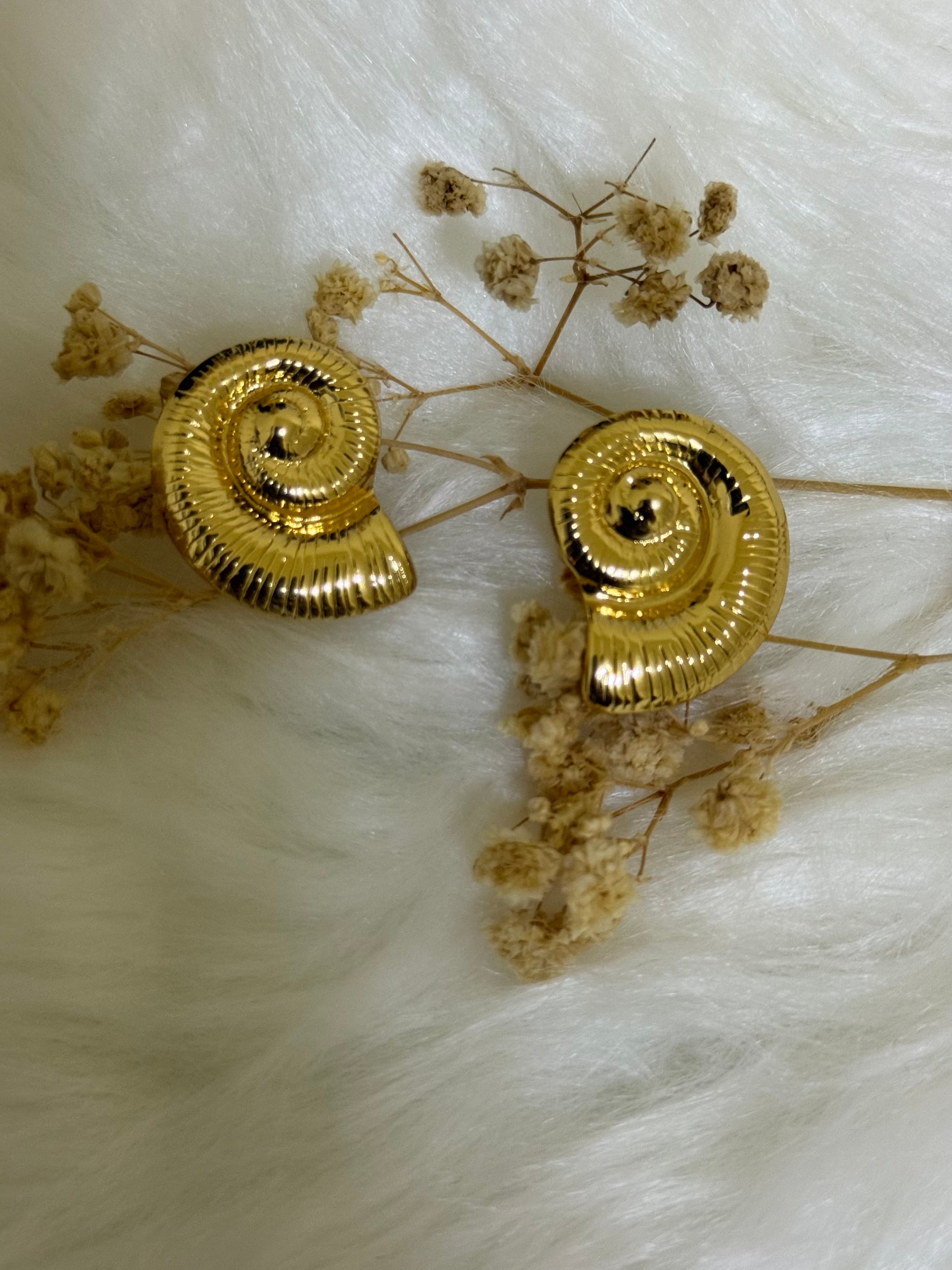 Women’s earrings
