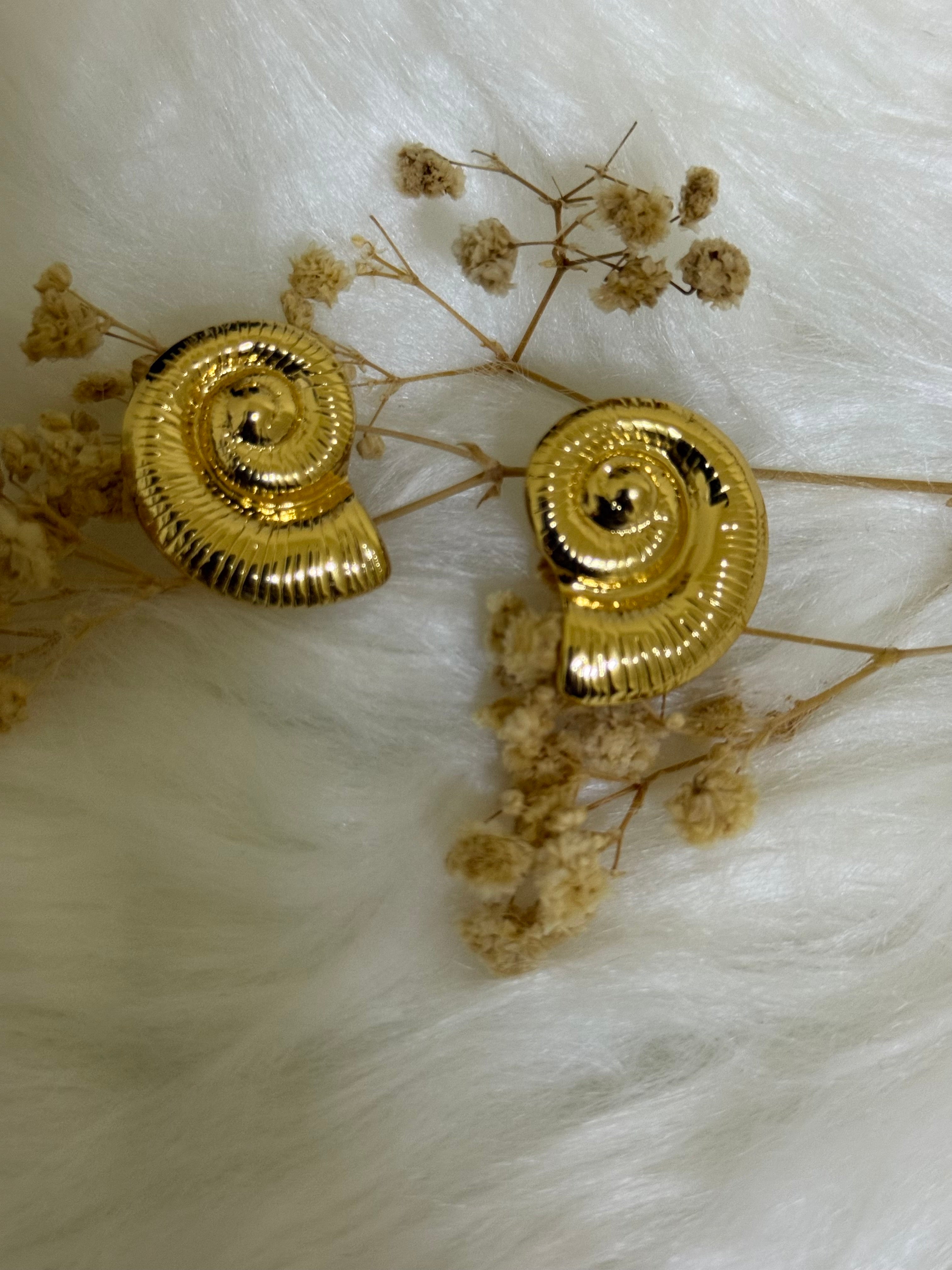 Women’s earrings