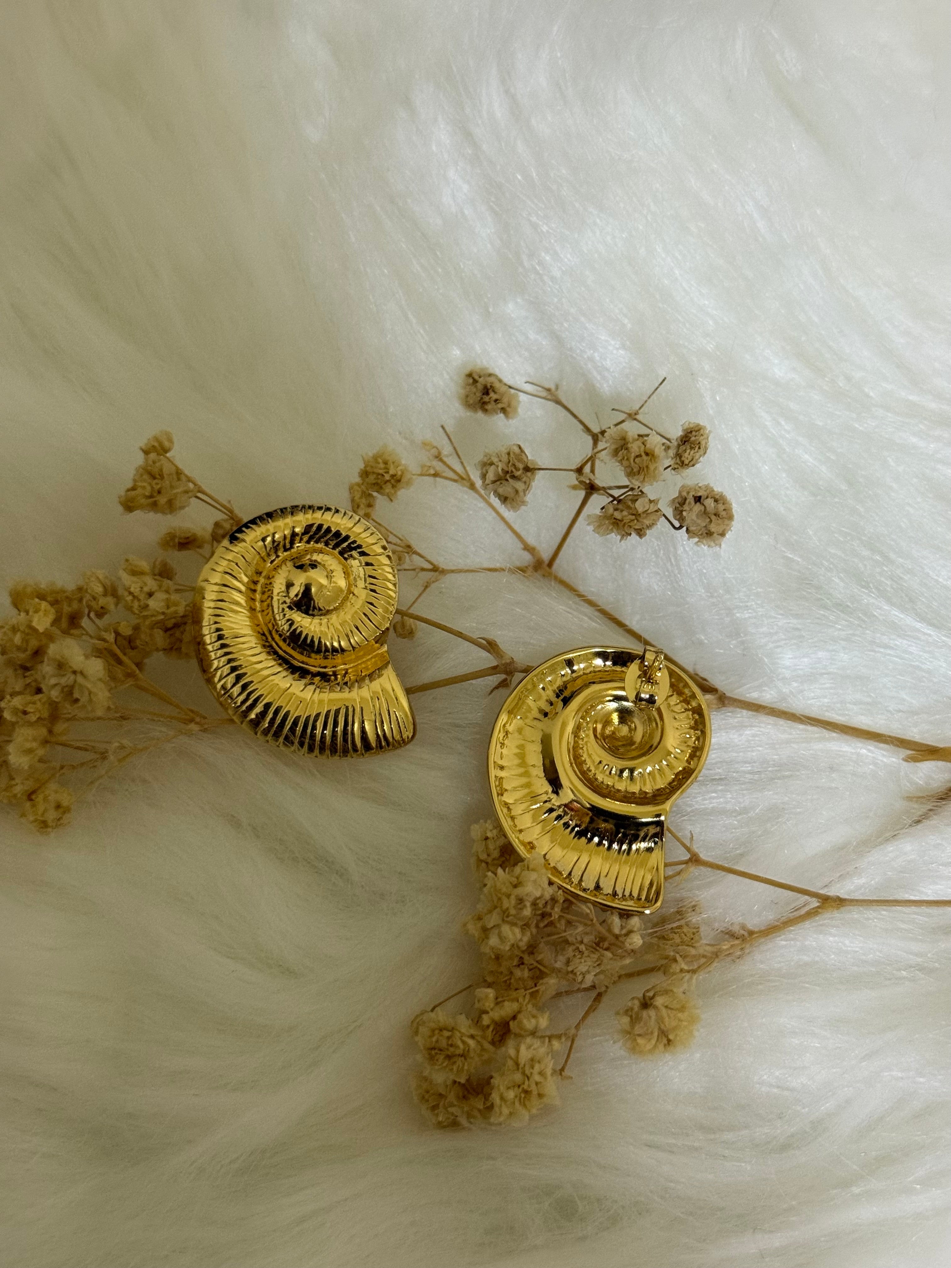 Women’s earrings